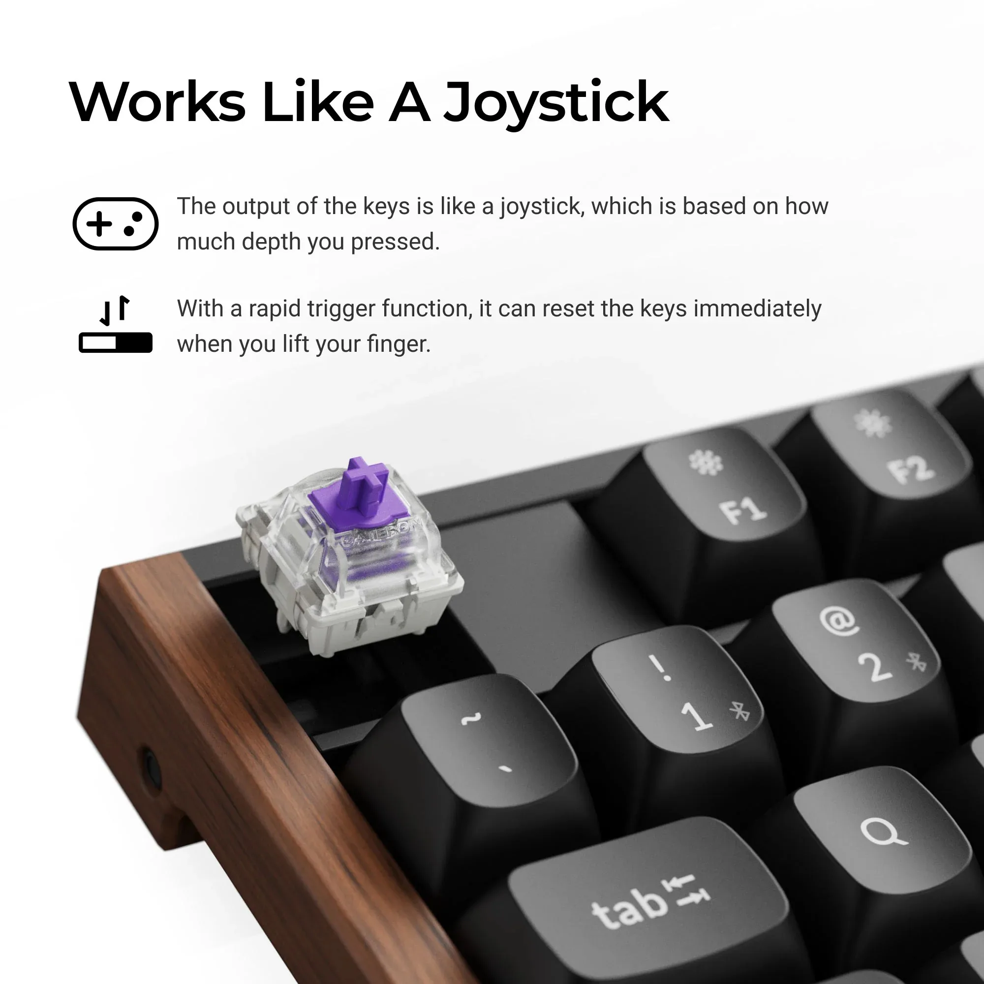 Keychron K10 HE Wireless Magnetic Switch Custom Keyboard Special Edition Full Size RGB Backlight Double-Shot PBT Keycap – Image 2